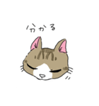 猫のいる家族（個別スタンプ：8）
