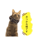 ロクちゃんスタンプ3（個別スタンプ：4）