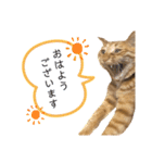 ロクちゃんスタンプ3（個別スタンプ：8）