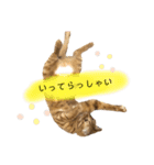 ロクちゃんスタンプ3（個別スタンプ：9）
