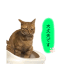 ロクちゃんスタンプ3（個別スタンプ：16）