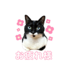 ♡キキララふーた♡（個別スタンプ：2）