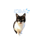 ♡キキララふーた♡（個別スタンプ：5）