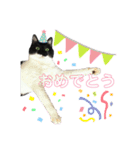 ♡キキララふーた♡（個別スタンプ：16）