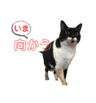 ♡キキララふーた♡（個別スタンプ：19）