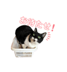 ♡キキララふーた♡（個別スタンプ：20）