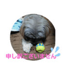 モカレオ・3（個別スタンプ：2）