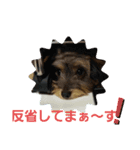 モカレオ・3（個別スタンプ：3）