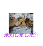 モカレオ・3（個別スタンプ：4）