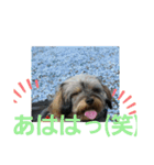 モカレオ・3（個別スタンプ：6）