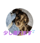 モカレオ・3（個別スタンプ：7）