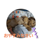 モカレオ・3（個別スタンプ：8）