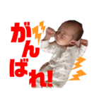 ☆IO STAMP☆（個別スタンプ：15）