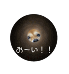 豆柴くうちゃん(関西弁)（個別スタンプ：24）
