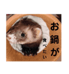 イタチのアドさん3（個別スタンプ：11）