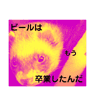 イタチのアドさん3（個別スタンプ：12）