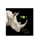 アンのジィジ アニマルシリーズ①（個別スタンプ：6）