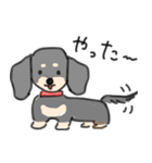 犬の友達 あいさつ（個別スタンプ：5）