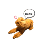 モフモフのトイプー（個別スタンプ：6）