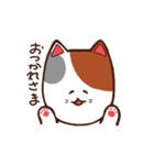 ゆるっと日常ねこスタンプ（個別スタンプ：8）