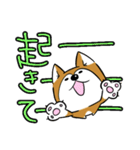 芝犬のしーくん2（個別スタンプ：9）