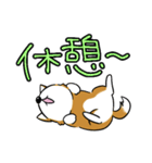 芝犬のしーくん2（個別スタンプ：21）