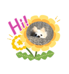 ポメラニアンのララちゃん。（個別スタンプ：4）