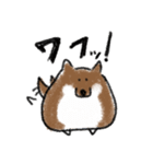 ワフわん（個別スタンプ：1）