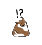 ワフわん（個別スタンプ：3）