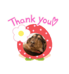 マック❤（個別スタンプ：3）