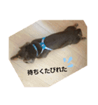 マック❤（個別スタンプ：10）