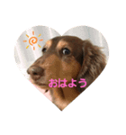 マック❤（個別スタンプ：12）
