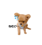 我が家のぽけもこちゃん（個別スタンプ：8）