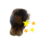 らふぃあん♪（個別スタンプ：14）