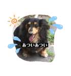 らふぃあん♪（個別スタンプ：18）