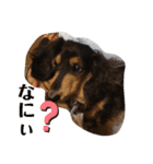 らふぃあん♪（個別スタンプ：19）