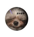 ぷぅの日常¨̮（個別スタンプ：2）