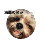 ぷぅの日常¨̮（個別スタンプ：11）