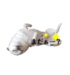 バルの気持ち（個別スタンプ：3）