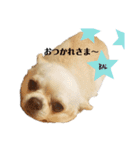 バルの気持ち（個別スタンプ：6）