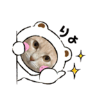 3にゃん（個別スタンプ：4）