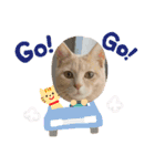 3にゃん（個別スタンプ：29）