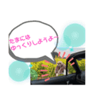 つよしのスタンプ？（個別スタンプ：11）
