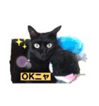 黒猫こったん3-2020夏（個別スタンプ：4）
