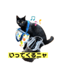 黒猫こったん3-2020夏（個別スタンプ：6）