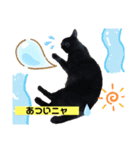 黒猫こったん3-2020夏（個別スタンプ：7）