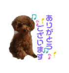fukudes（個別スタンプ：7）