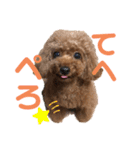 fukudes（個別スタンプ：12）