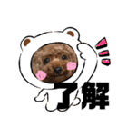 fukudes（個別スタンプ：19）