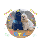 アメリカンコッカースパニエル♡Benji＆Lucy（個別スタンプ：12）